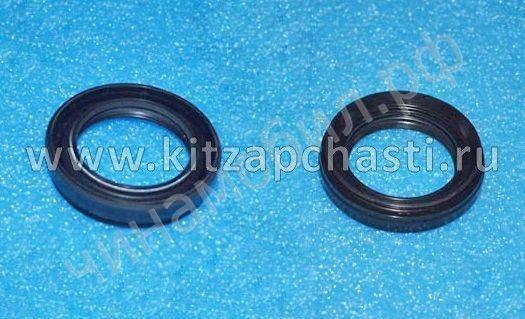 Сальник дифференциала Chery Tiggo 2 Pro 019CHA1502106