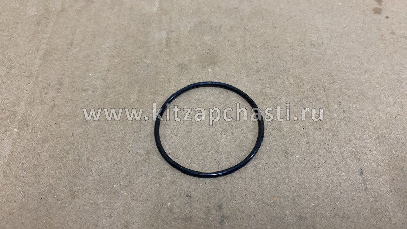 Кольцо уплотнительное насоса вакуумного Haval F7x 2,0 3541101XED61