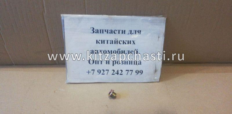 Болт сливная пробка Chery Tiggo 9 481H1002042