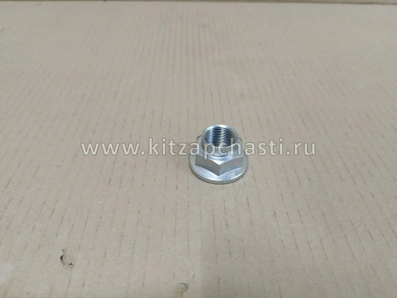Гайка ШРУСа наружнего Changan CS95 NEW  CD569F2501010201